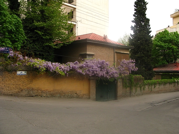 Flowers of Tehran