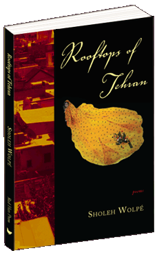 RoofTops ofTehran by Sholeh Wolpe