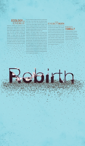 Rebirth