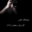 Photography Exhibition of Farzin R