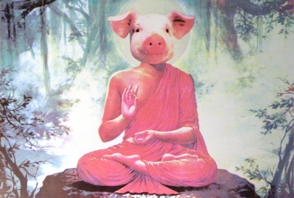 Buddha Pig